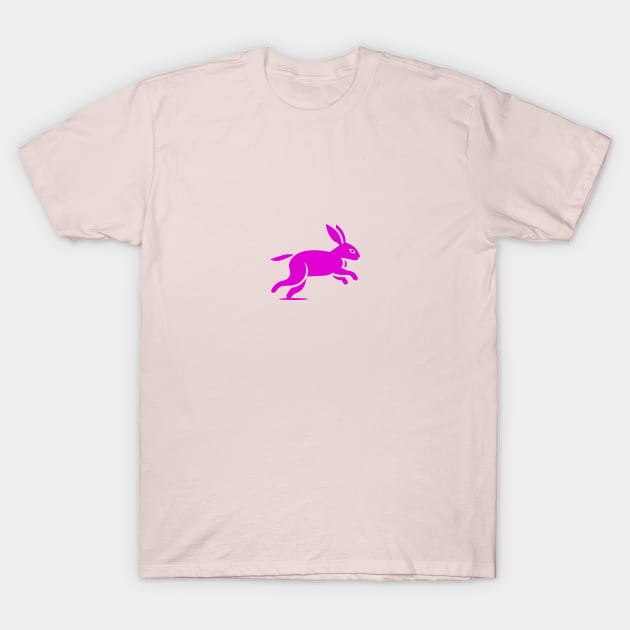 Pink Rabbit T-Shirt by DavidLoblaw